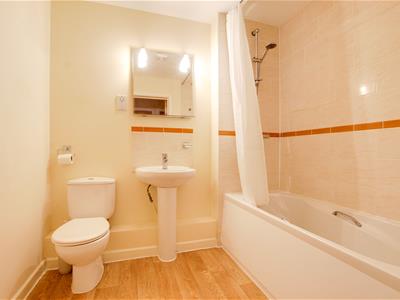Picture 12